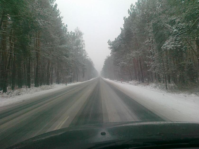 20120217626.jpg - Droga do Wojtka - nr 9, przed Iłżą