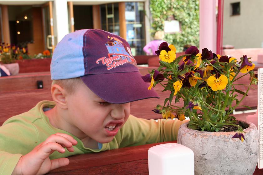 IMG_6507.JPG - Wojtek pomstuje na trzmiela, chyba?