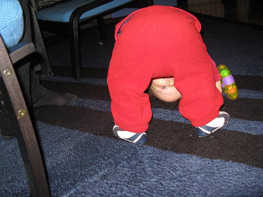 20090104-IMG_7535.JPG - Drodzy Go�cie! Patrz� na was!