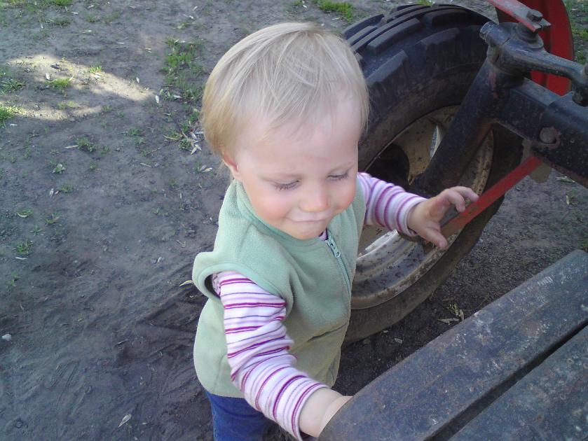 DSC00283.JPG - Fajny ten Ursus