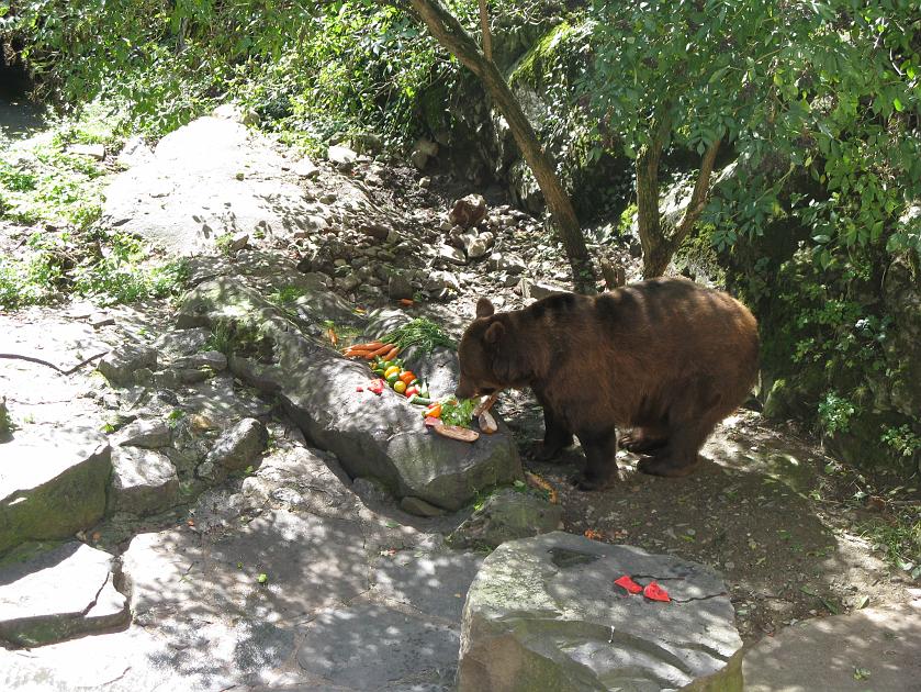 IMG_1208.JPG - Mi� z Krumlova