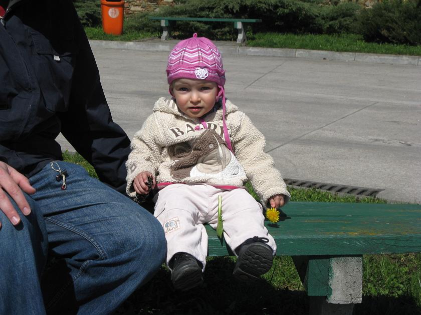 IMG_3684.JPG - Róża na ławce