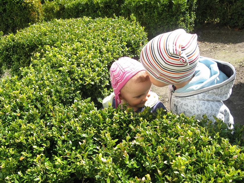 IMG_3860.JPG - I znów daje Róży dzióbka . . .