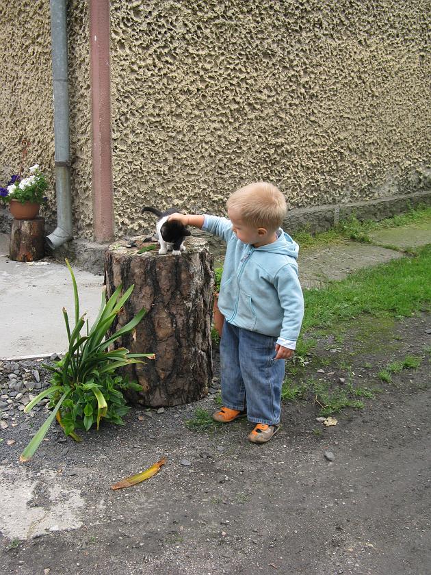 IMG_7391.JPG - Z kotkiem na podwórku