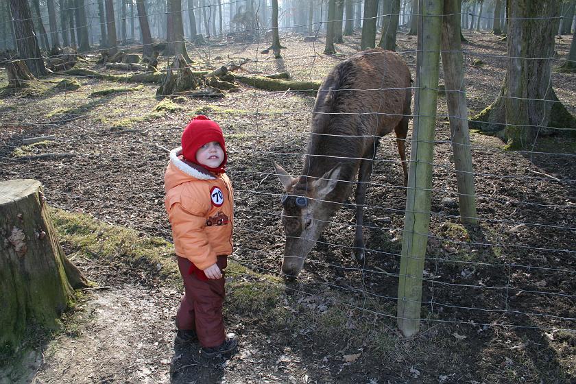 IMG_7869.JPG - Wojtek i Jeleń
