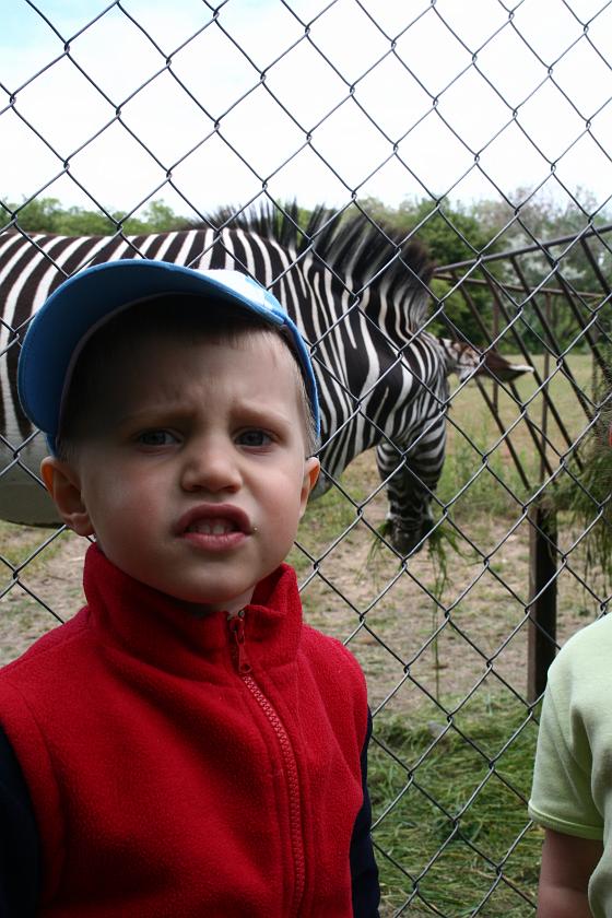 IMG_9971.JPG - Wojtek z zebrą