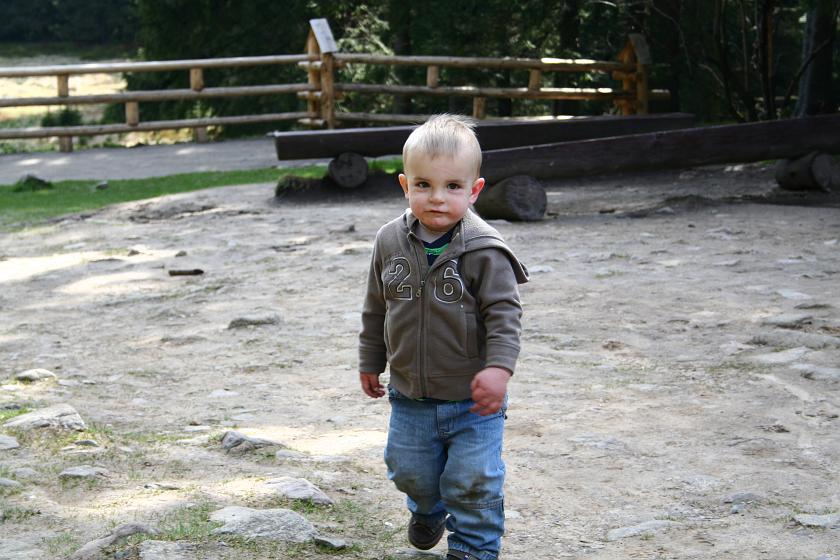 IMG_9463.JPG - Arturek