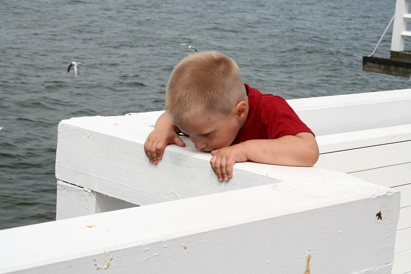 IMG_1503.JPG - Podziwiam morze . . .