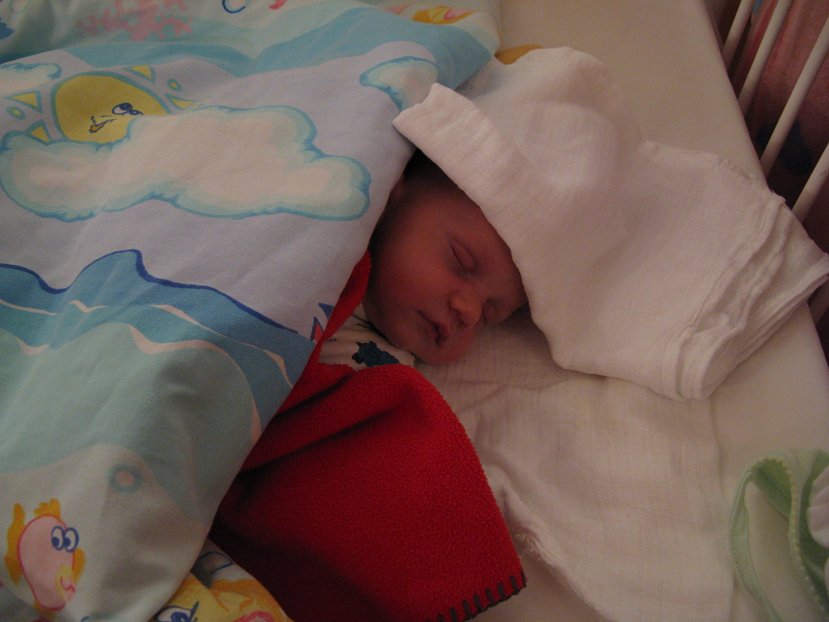 2007-12-08_0415.jpg - (2007-12-08) Opatulony jak ...