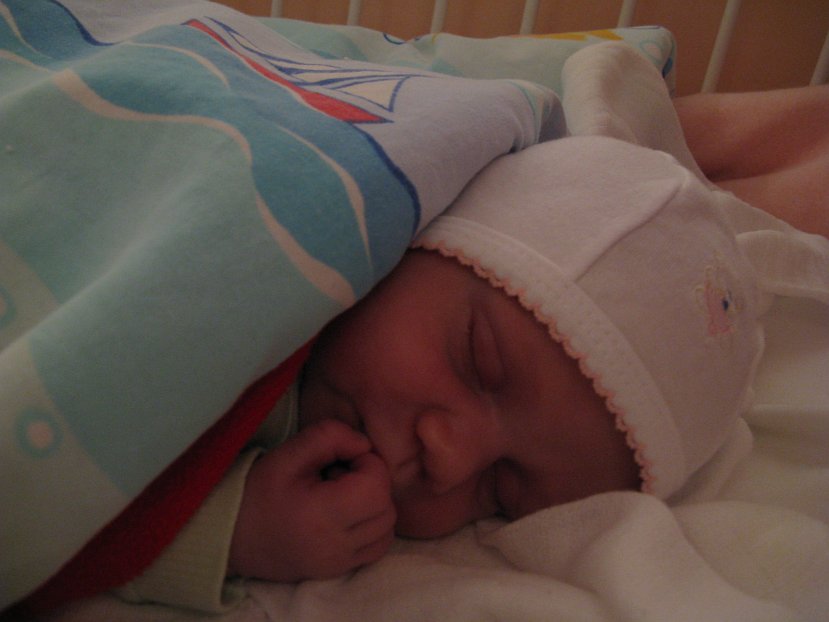 2007-12-11_0449.jpg - (2007-12-11) Wojtek. Po prostu Wojtek.