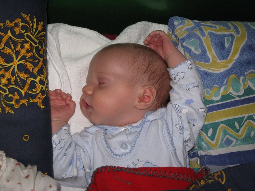 2007-12-22_0490.jpg - (2007-12-22) Śpi...