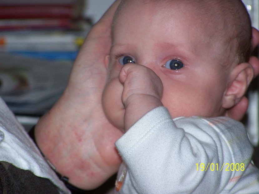 2008-01-19_0985.jpg - (2008-01-19) ...