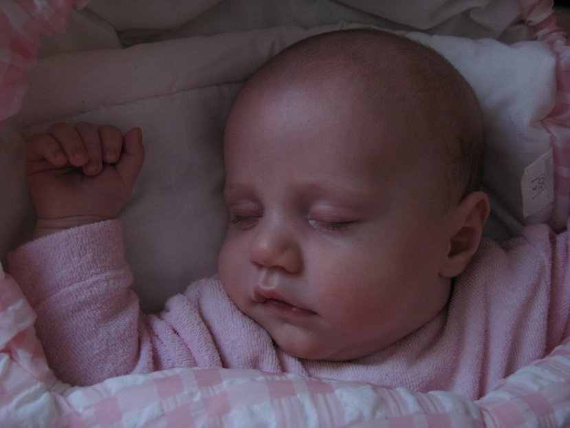 2008-01-22_0873.jpg - (2008-01-22) Śpi