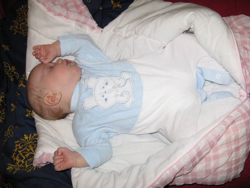 2008-01-24_0908.jpg - (2008-01-24) I śpię nadal