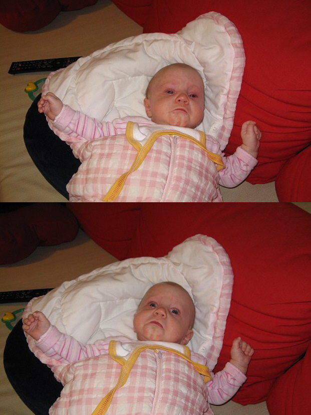 2008-02-06_podkowka.jpg - (2008-02-06) Tak się wyraża smutek