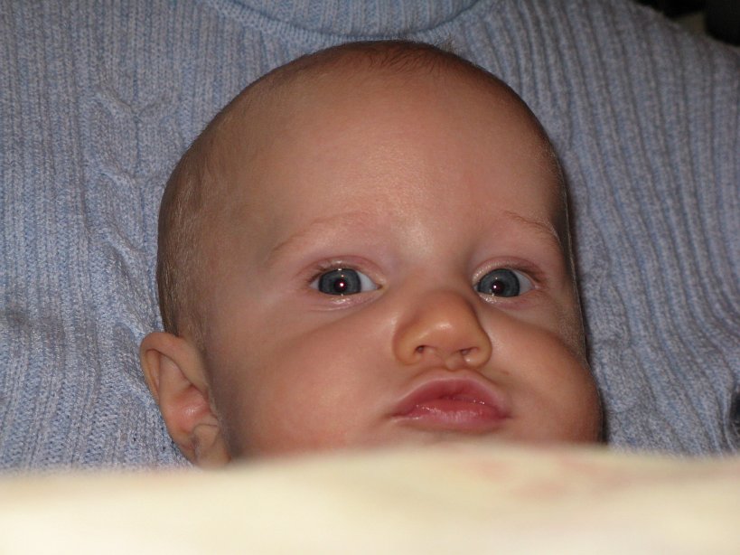 2008-03-01_1466.jpg - (2008-03-01) Zza stołu