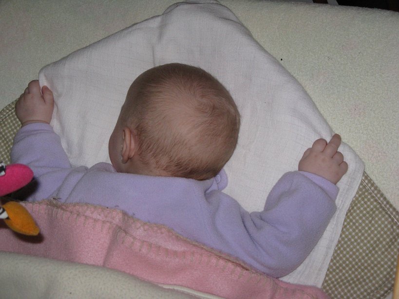 2008-03-03_1473.jpg - (2008-03-03) Odczepcie się, bo śpię! ;-)