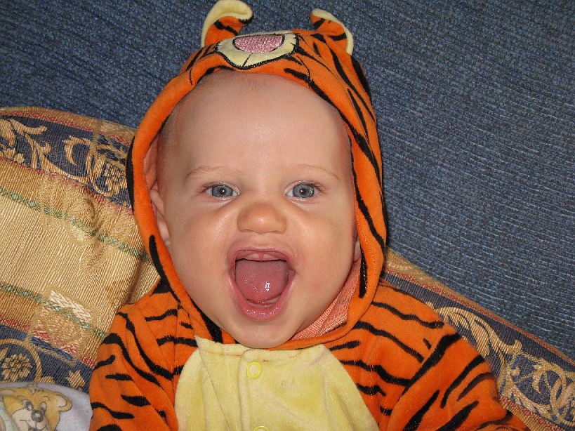 2008-05-25_2795.jpg - (2008-05-25) Tygrys