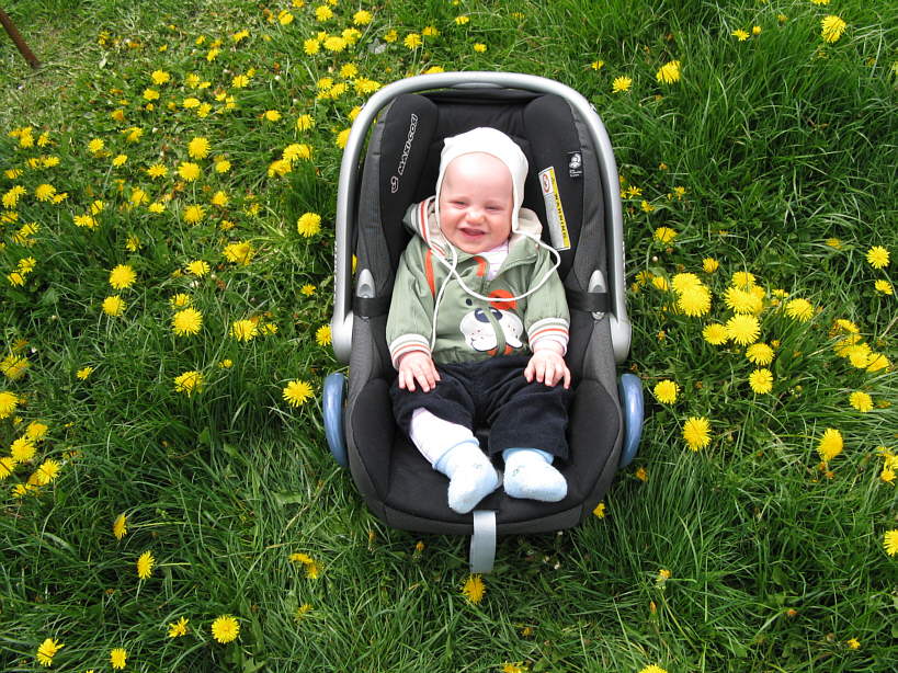 20080510-1202-wojtek.jpg - (2008-05-10) Wojtek wśród mlecza