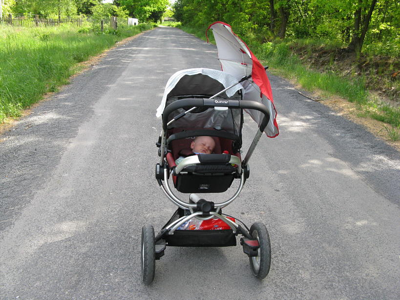 20080531-IMG_2894.jpg - (2008-05-31) Śpi na spacerze