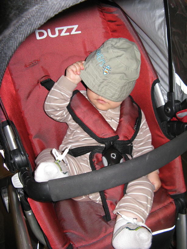 20080601-IMG_2927.jpg - (2008-06-01) Rozparty w wózku