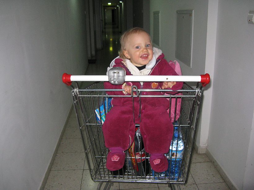 20081130-IMG_7011.jpg - (2008-11-30) W wózku na zakupy
