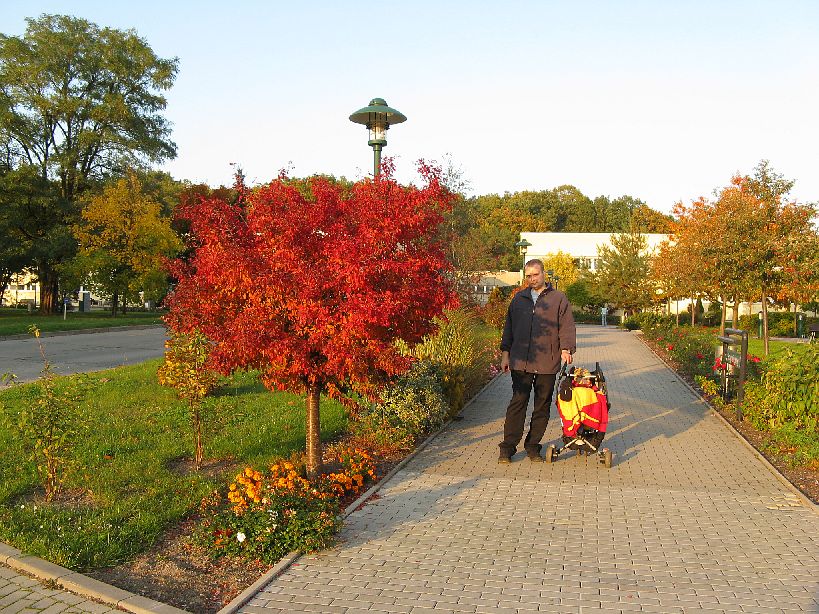 IMG_5811.jpg - Klinikum we Frankfurcie/O